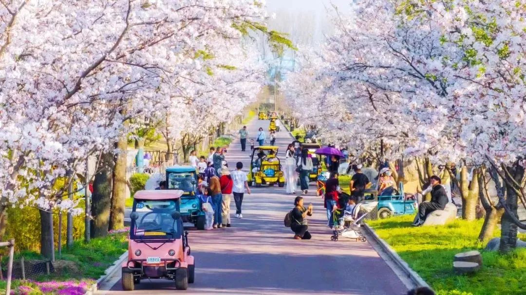 宇通上新季丨大運(yùn)力超能巴士助力旅游經(jīng)濟(jì)一路“繁花” 宇通上新季丨大運(yùn)力超能巴士助力旅游經(jīng)濟(jì)一路“繁花”